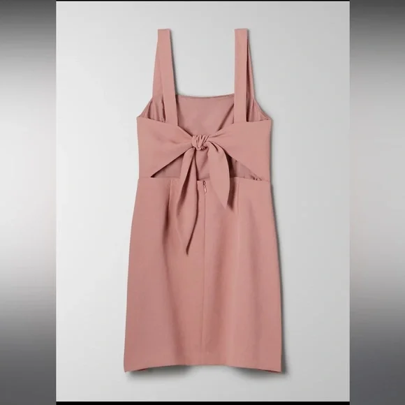 NWT Wilfred “New Écoulement” soft blush pink mini. - Picture 8 of 9